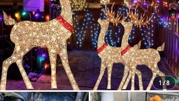 Ini masalah angle pemotretannya saja. Foto: WVPrepper via Bored Panda