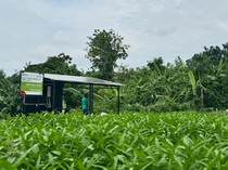 Desa di Hulu Bali Ini Disulap Jadi Sentra Energi Surya & Wisata Hutan