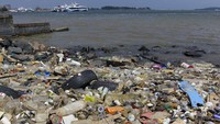 Kantor Syahbandar pelabuhan internasional tersebut menyebutkan sampah yang terdampar dan mencemari kawasan pelabuhan karena terbawa arus gelombang laut dan angin kencang yang terjadi beberapa pekan terakhir.