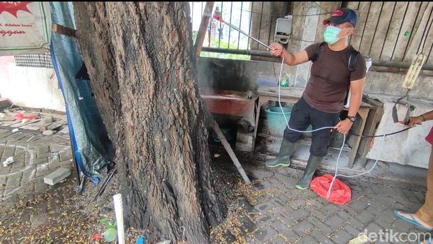 Serangan ulat bulu di 3 warung di Kota Mojokerto.