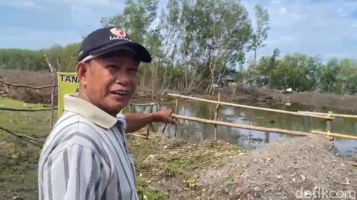 Ambo Masse saat menunjukkan kawasan empangnya di Maros setelah membabat mangrove.