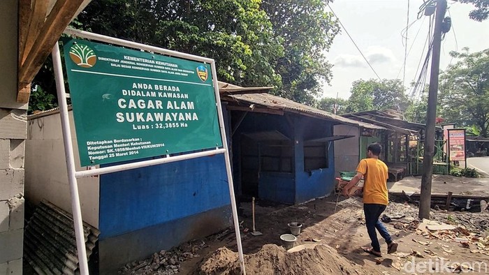 Bangunan liar yang dibangun warga dan pedagang yang terdampak relokasi di Cagar Alam Sukawayana