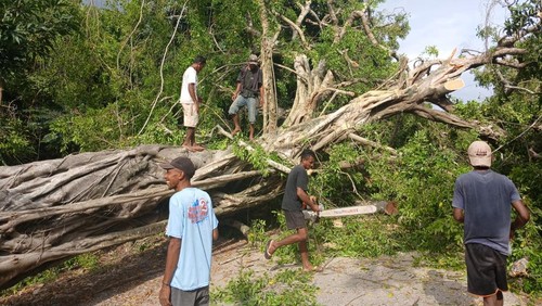 Pohon beringin tumbang menutupi jalan di Desa Bipolo, Kecamatan Sulamu, Kabupaten Kupang, NTT, Selasa (4/2/2025) sekitar pukul 07.00 Wita. (Dok. Polsek Sulamu).