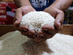 Harga Beras Dunia Anjlok, RI Gimana?