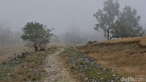 Jalan Poros Tengah sebagai alternatif imbas jembatan putus di Kecamatan Amfoang Tengah, Kabupaten Kupang, NTT. (Yufengki Bria/detikBali).