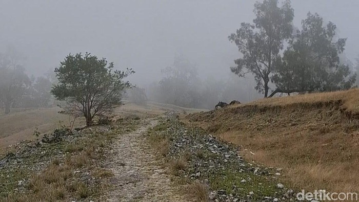 Jalan Poros Tengah sebagai alternatif imbas jembatan putus di Kecamatan Amfoang Tengah, Kabupaten Kupang, NTT. (Yufengki Bria/detikBali).