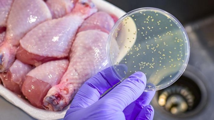 Duh! 250 Orang Keracunan Usai Lahap Makanan Kondangan