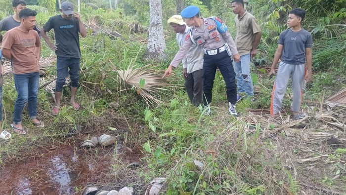 lokasi penemuan kerangka manusia di Aceh Timur. (Dok Polres Aceh Timur)
