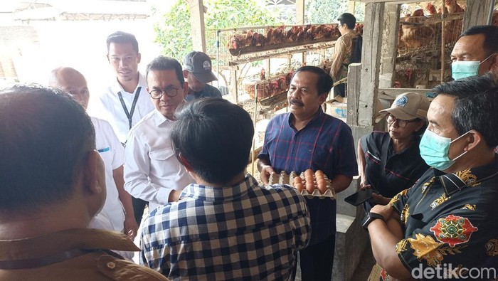 Mendag bertemu dengan peternak ayam petelur di Blitar