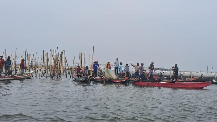 Ada 581 hektare (ha) lahan yang ada dalam Pagar Laut di Desa Segarajaya, Kecamatan Tarumajaya, Kabupaten Bekasi, Jawa Barat. Begini penampakannya.