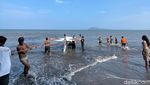 Insiden Jatuhnya Pesawat Latih Milik API di Laut Banyuwangi