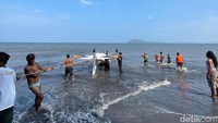 Pesawat yang jatuh dipastikan milik Akademi Penerbangan Indonesia (API) Banyuwangi (Foto: Eka Rimawati)