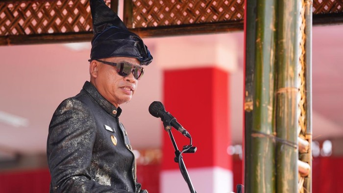 Pj Gubernur Sulsel Prof Fadjry Djufry.