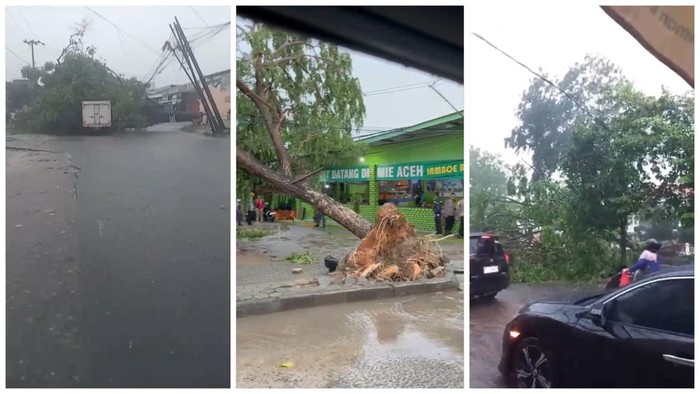 Pohon tumbang di Bandar Lampung timpa kendaraan