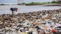 Pemulung memungut sampah di Pantai Teluk Labuan, Pandeglang, Banten, Selasa (4/1/2025).