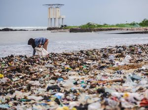 Penampakan Sampah Kembali Menumpuk di Pantai Teluk Labuan