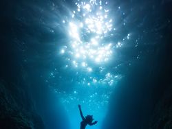 Jawara Kontes Foto Sony Kategori National & Regional, Ada Indonesia