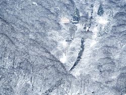 Jawara Kontes Foto Sony Kategori National & Regional, Ada Indonesia