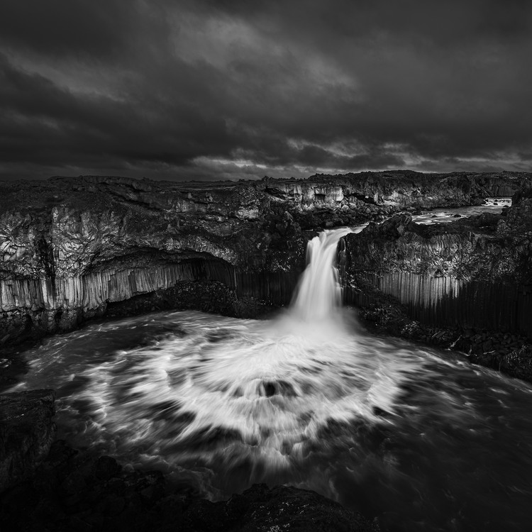 Sony World Photography Awards 2025 Sony World Photography Awards 2025