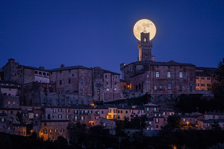 Sony World Photography Awards 2025 Sony World Photography Awards 2025