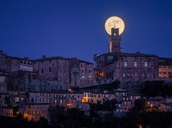 Jawara Kontes Foto Sony Kategori National & Regional, Ada Indonesia