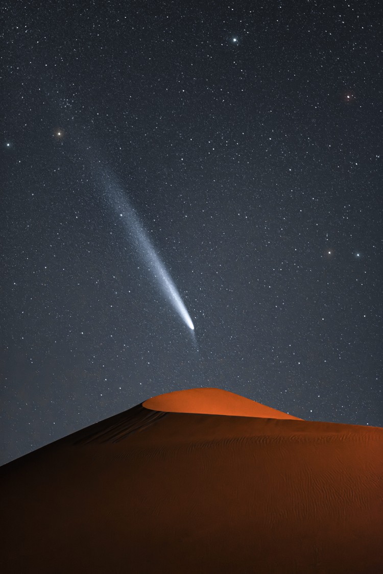 Sony World Photography Awards 2025 Sony World Photography Awards 2025