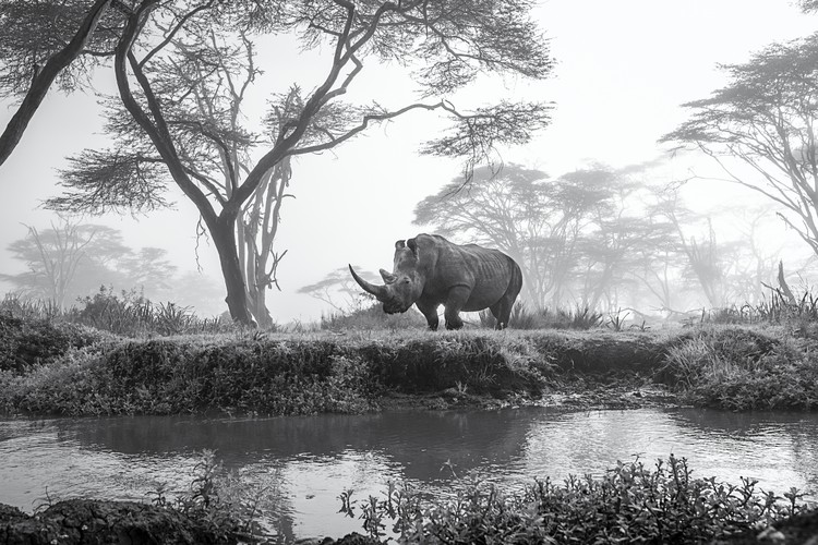 Sony World Photography Awards 2025 Sony World Photography Awards 2025
