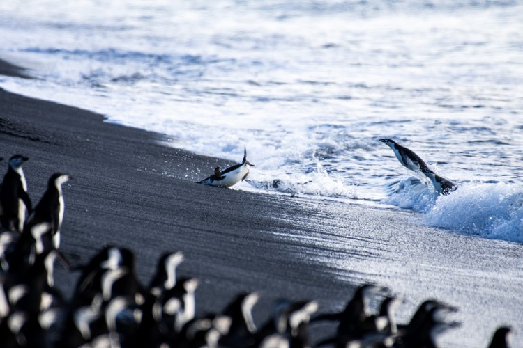 Sony World Photography Awards 2025 Sony World Photography Awards 2025