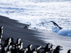 Jawara Kontes Foto Sony Kategori National & Regional, Ada Indonesia