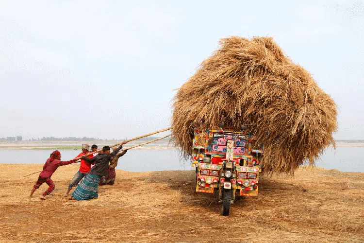 Jawara Kontes Foto Sony Kategori National & Regional, Ada Indonesia