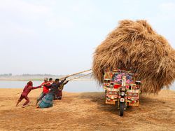 Jawara Kontes Foto Sony Kategori National & Regional, Ada Indonesia