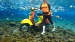 Tak Lengkap Rasanya Bila Tak Foto-foto di Umbul Ponggok