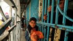 Warga Gaza Antre Beli Roti Saat Gencatan Senjata