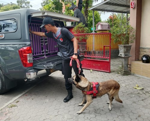 Anjing Pelacak yang dikerahkan Polda NTB untuk membantu pencarian korban banjir di Desa Nanga Wera, Kecamatan Wera, Kabupaten Bima. (Dok. Direktorat Samapta Polda NTB).