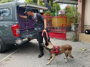 Polda NTB Kerahkan Anjing Pelacak untuk Cari 5 Korban Banjir Bima