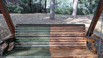 Ayunannya tidak warna hijau ya, aslinya seperti yang terlihat di sebelah kanan. Foto: 251Cane via Bored Panda