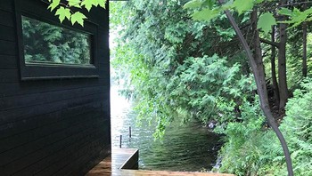 Alga yang all gone. Foto: cooker96 via Bored Panda