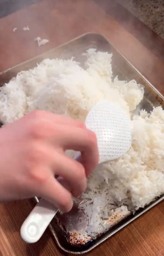 Bule Masak Nasi Goreng dengan Benar Dibanjiri Pujian