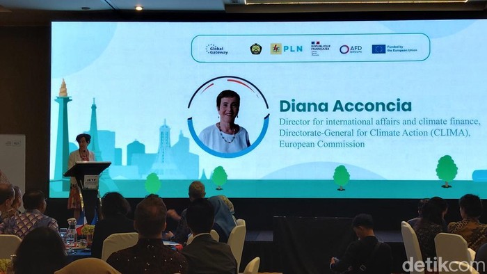 Director for International Affairs and Climate Finance CLIMA Diana Acconcia