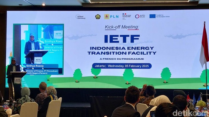 Direktur Keuangan PT PLN (Persero) Sinthya Roesly