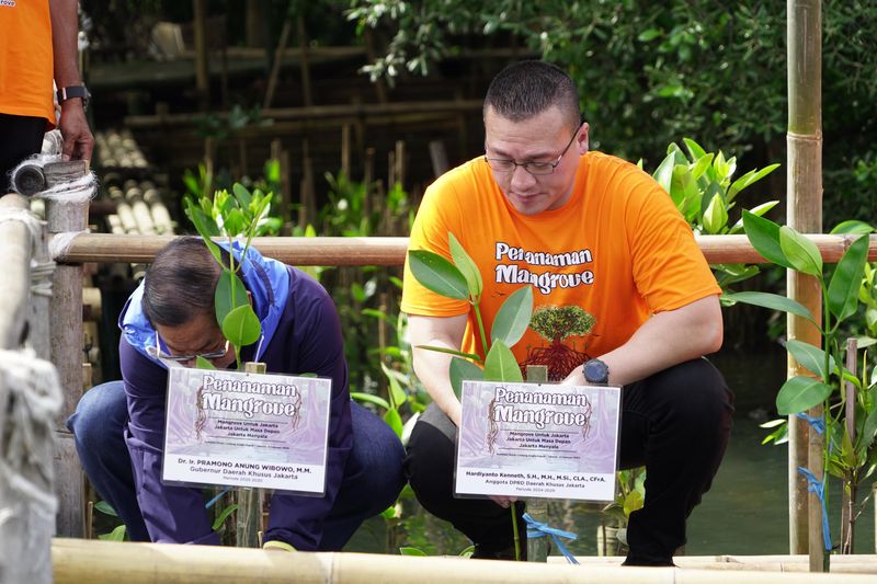 Gubernur Daerah Khusus Jakarta Pramono Anung Wibowo Bersama Anggota DPRD Khusus Jakarta, Fraksi PDI Perjuangan Hardiyanto Kenneth Menanam Mangrove di Hutan Lindung Angke, Jakarta Utara.