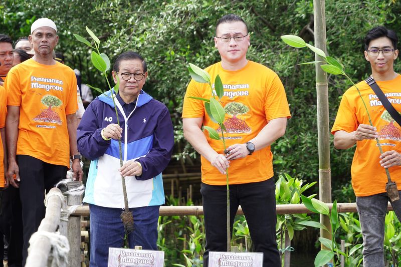 Gubernur Daerah Khusus Jakarta Pramono Anung Wibowo Bersama Anggota DPRD Khusus Jakarta, Fraksi PDI Perjuangan Hardiyanto Kenneth Menanam Mangrove di Hutan Lindung Angke, Jakarta Utara.