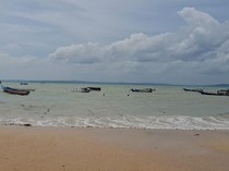 Ratusan Petani Gagal Panen Rumput Laut Imbas Gelombang Tinggi di Kupang