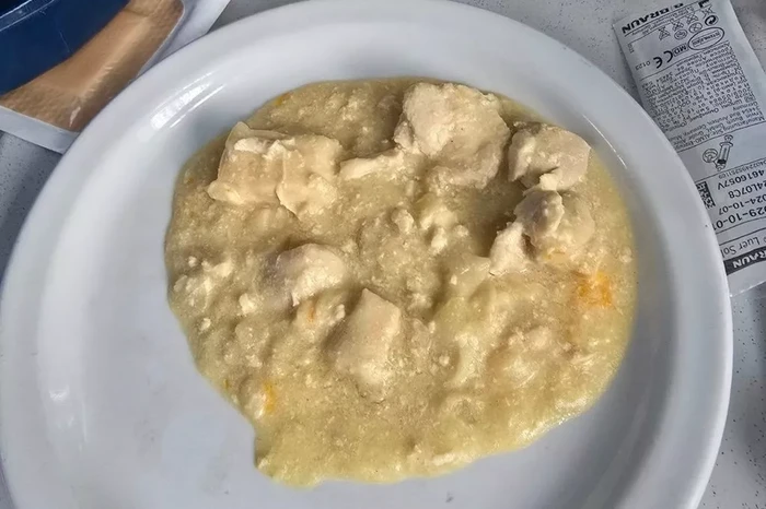 makanan rumah sakit mirip muntah kucing