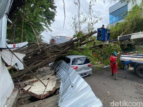 Pohon di Jalan Hayamwuruk, Kota Semarang, tumbang menimpa mobil saat angin berembus kencang, Rabu (5/2/2024) siang.