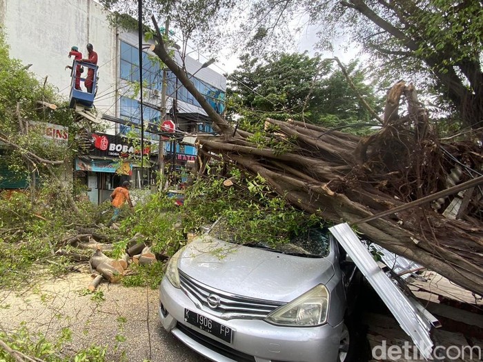 Pohon di Jalan Hayamwuruk, Kota Semarang, tumbang menimpa mobil saat angin berembus kencang, Rabu (5/2/2024) siang.