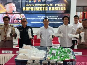 Polisi Temukan Benih Lobster senilai Rp 1,5 M di Pelabuhan Batam, Pelaku Diburu