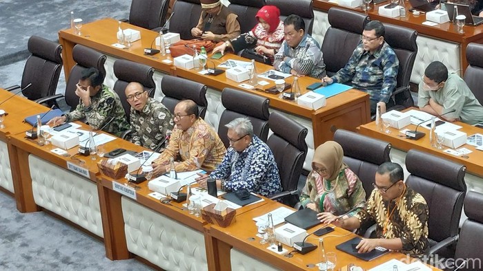 Rapat Kementerian Usaha Mikro, Kecil, dan Menengah (UMKM) di DPR, Rabu (5/2/2025).