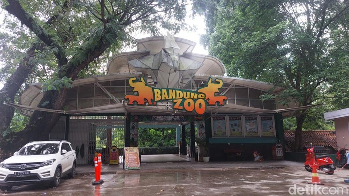 Suasana di Kebun Binatang Bandung.