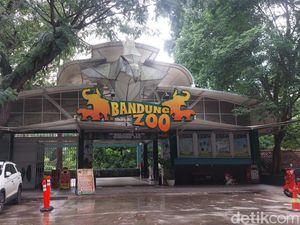 Kondisi Satwa Bandung Zoo di Tengah Konflik Dualisme